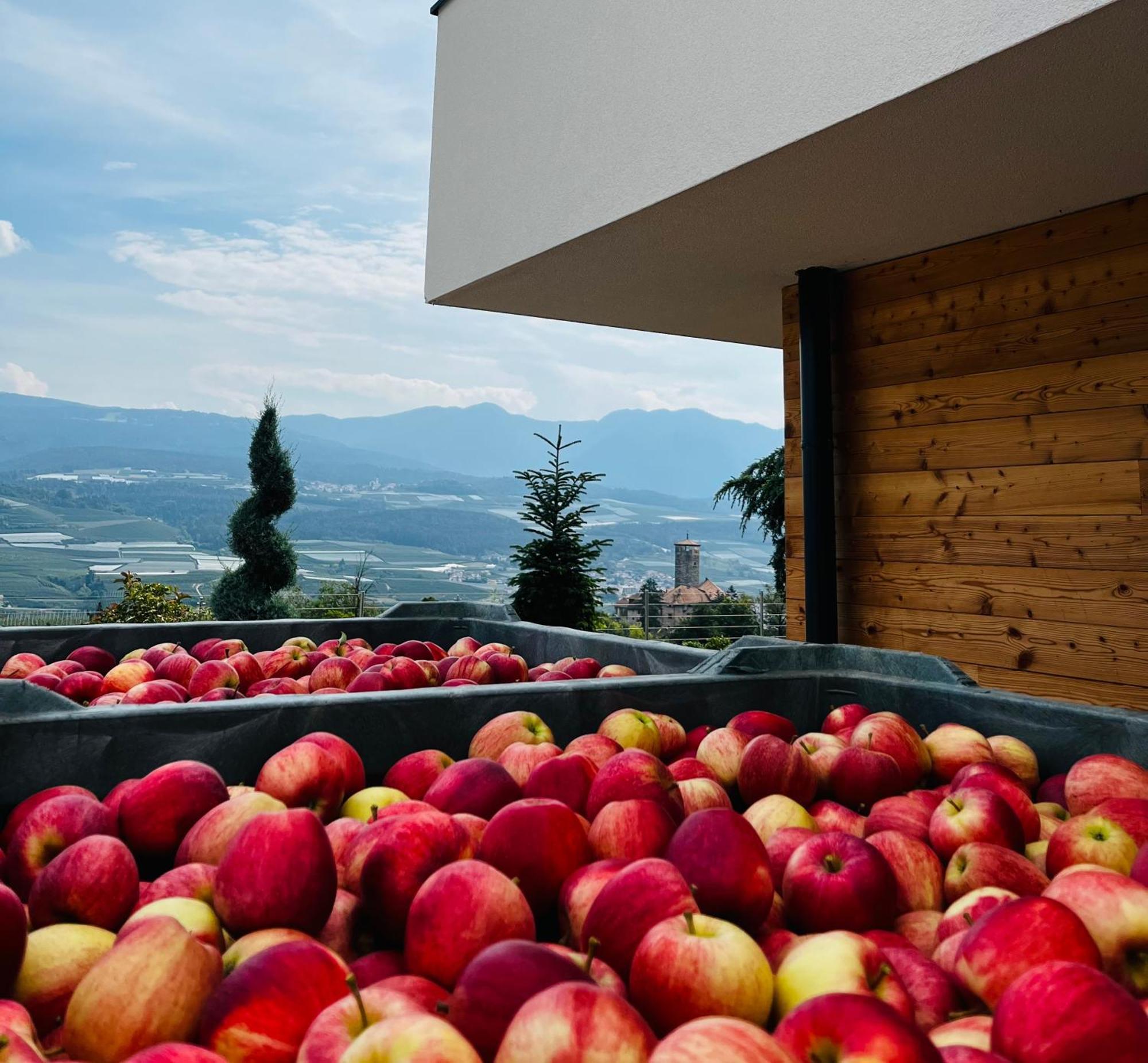 Maso Valer - Agritur Apartment Tassullo Ngoại thất bức ảnh